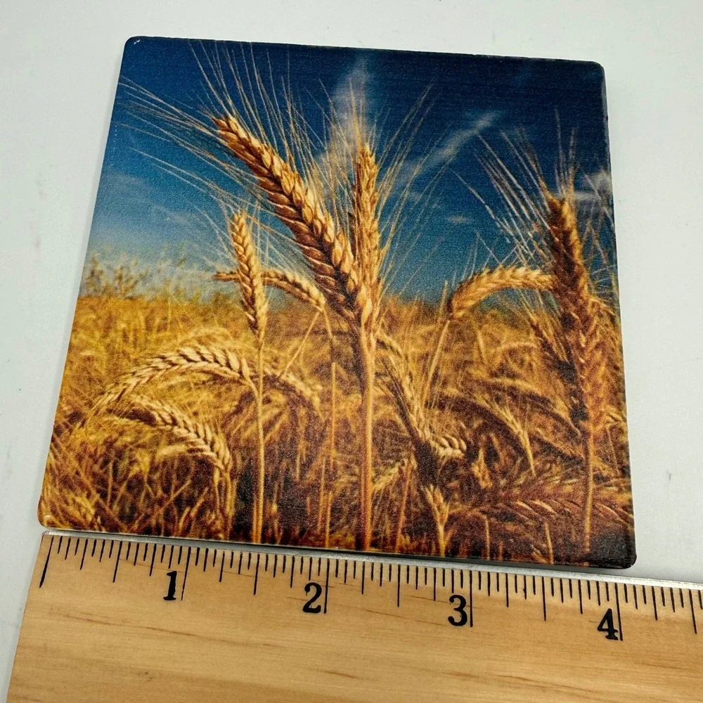 Thirstystone Religious Wheat Field Scripture‎ Stone Coaster Set of 2